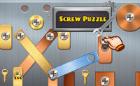 Screw Puzzle